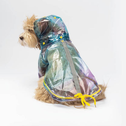 Silver Paw - Kinney Dog Translucent Raincoat