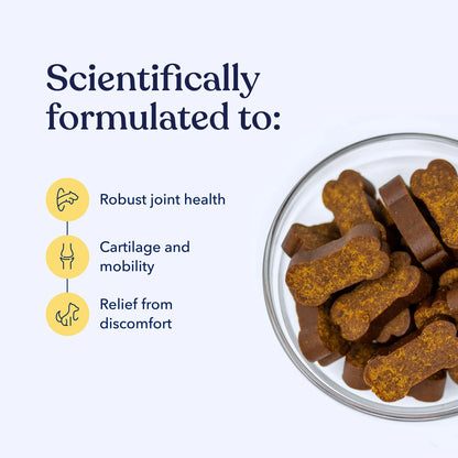 Honest Paws - Mobility CBD Soft Chews