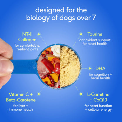 Senior Daily 12-in-1 Multivitamin Powder Supplement for Dogs
