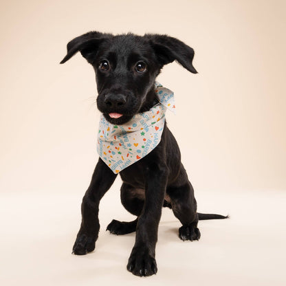Sparkle Pawty Blue Dog Bandana