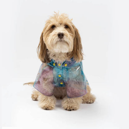 Silver Paw - Kinney Dog Translucent Raincoat