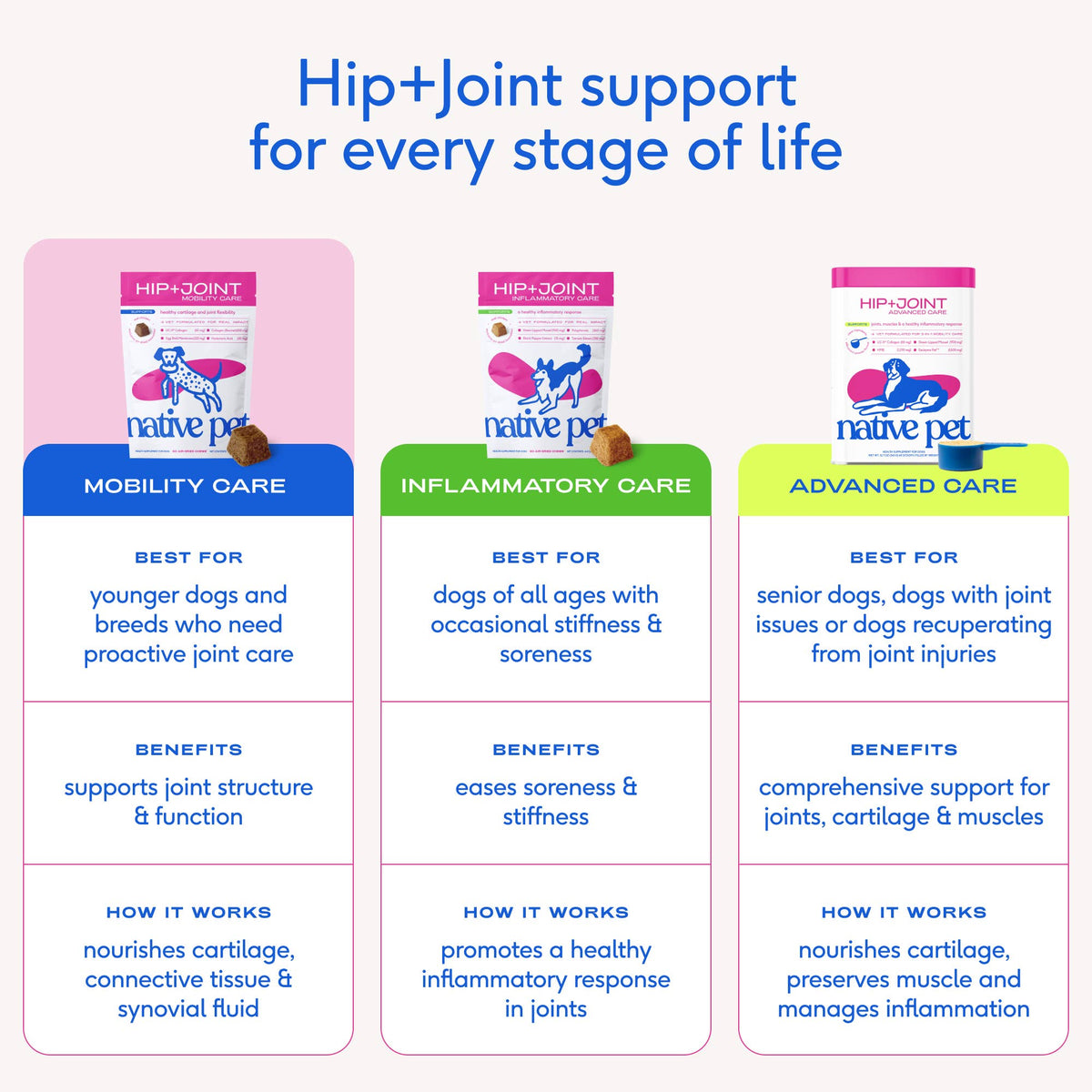 Hip+Joint Mobility Care Chews, Hip & Joint Supplement