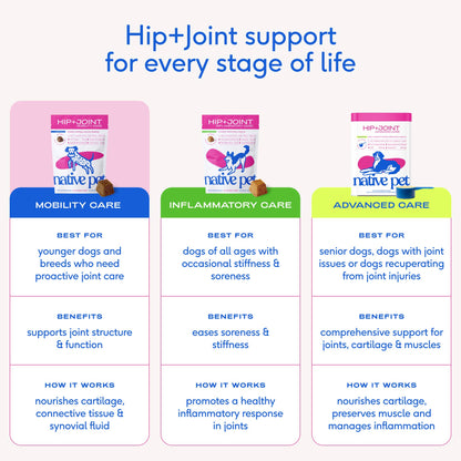 Hip+Joint Mobility Care Chews, Hip & Joint Supplement