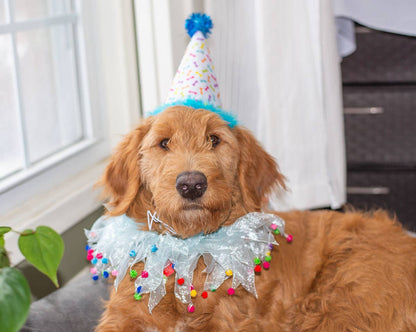 Multipet Party Pom Pom Collar Blue Medium