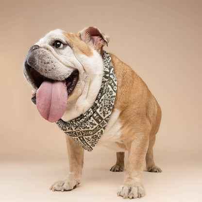 Fernwood Dog Bandana