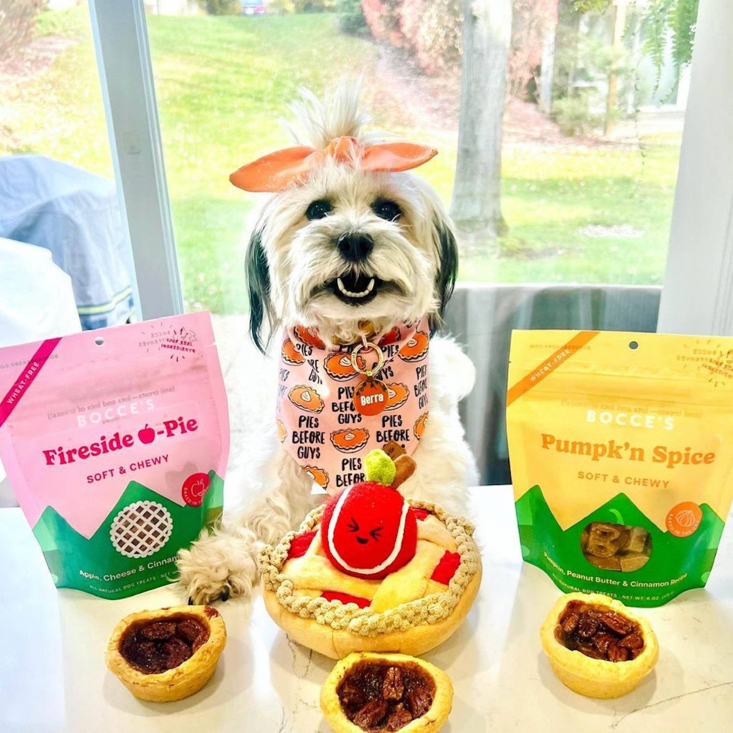 Bocce's Fireside Apple Pie Soft & Chewy Treats 6oz