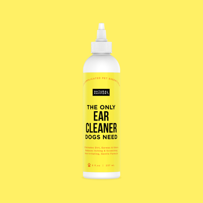 The Only Ear Cleaner Dogs Need