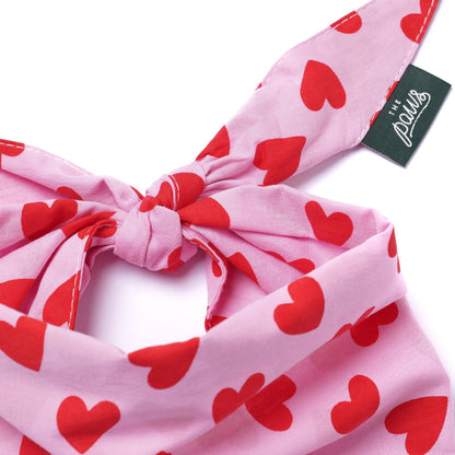 Lovesong Dog Bandana