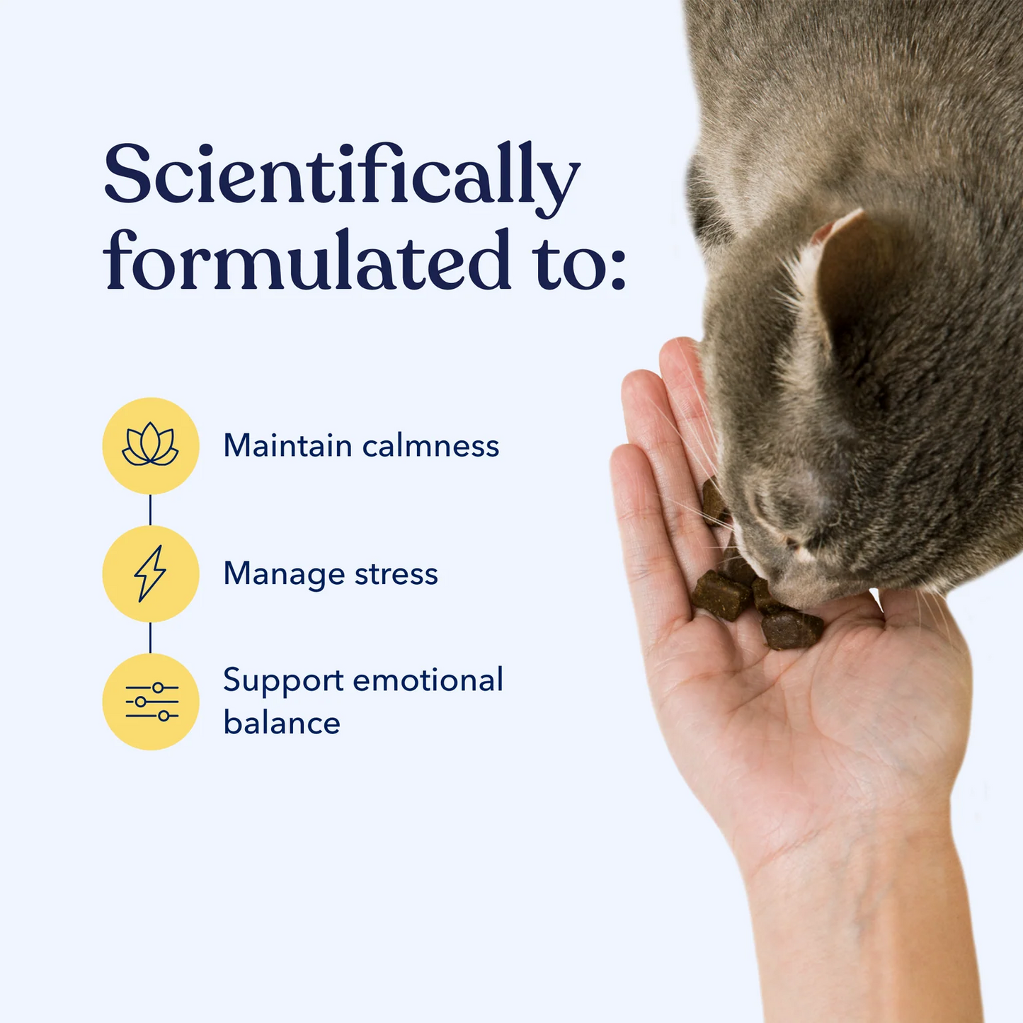 Honest Paws - Calm CBD Soft Chews For Cats