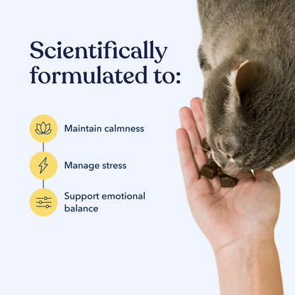 Honest Paws - Calm CBD Soft Chews For Cats