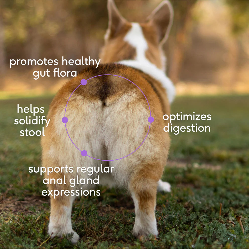 Native Pet Wondergland