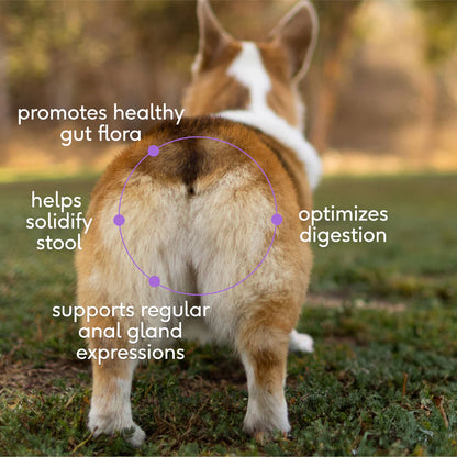 Native Pet Wondergland