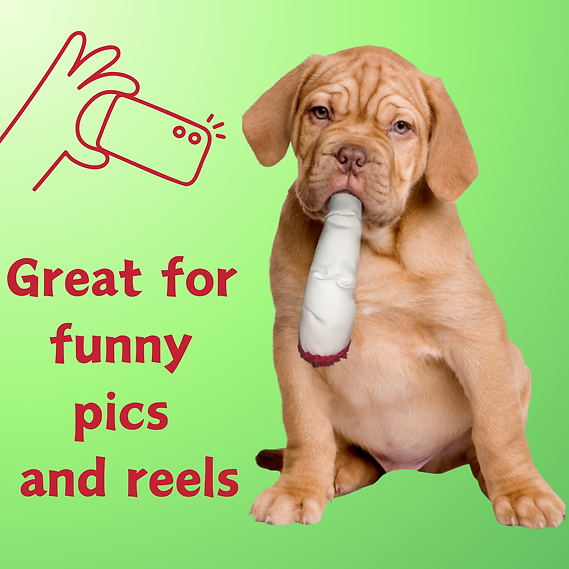 Paw:20 Jay the Joint|Funny Dog Toy