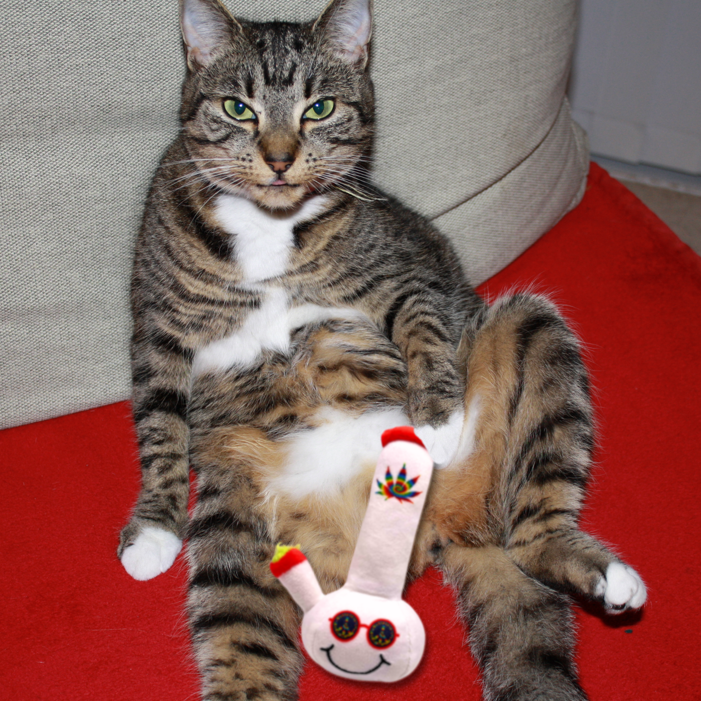 Lil' Billie Bong, Parody Plush Weed Theme Catnip 420 Cat Toy