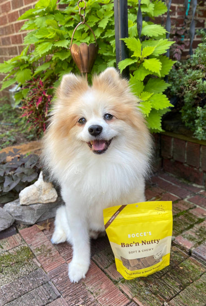 Bocce's Bakery Bac'N Nutty Soft & Chewy Dog Treats 6oz