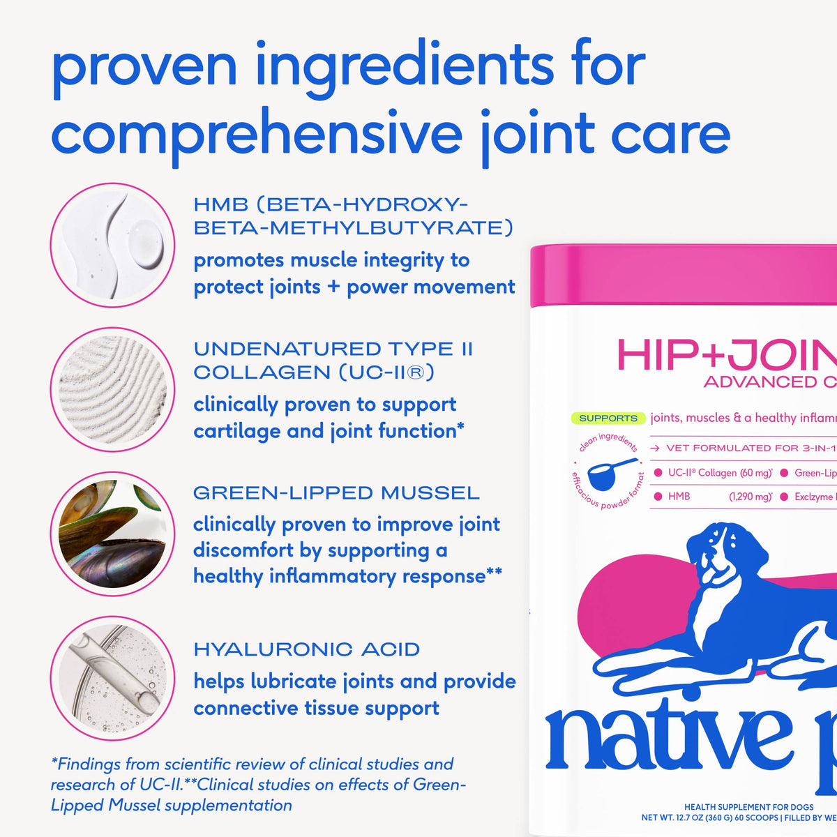 Hip+Joint Advanced Care Powder Joint, Muscle & Inflammation