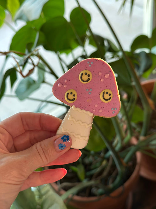 Smiley Mushroom