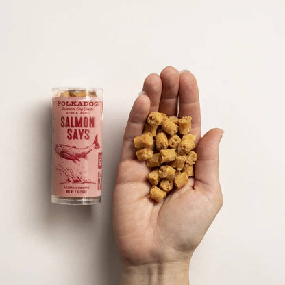 Polkadog Salmon Says Training Bits Crunchy Dog & Cat Treats
