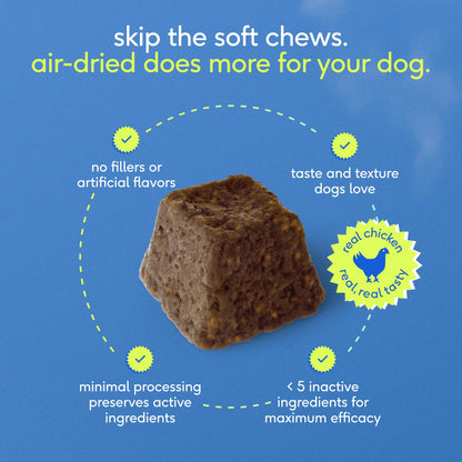 Hip+Joint Mobility Care Chews, Hip & Joint Supplement
