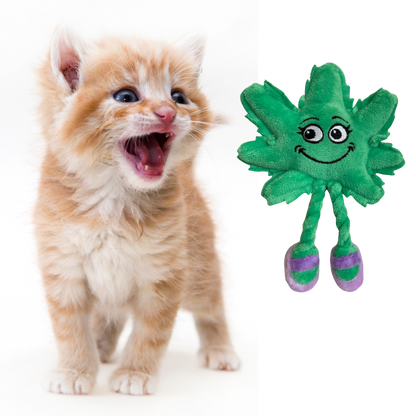 Lil' Mary Jane the Marijuana Leaf, Plush Catnip 420 Cat Toy