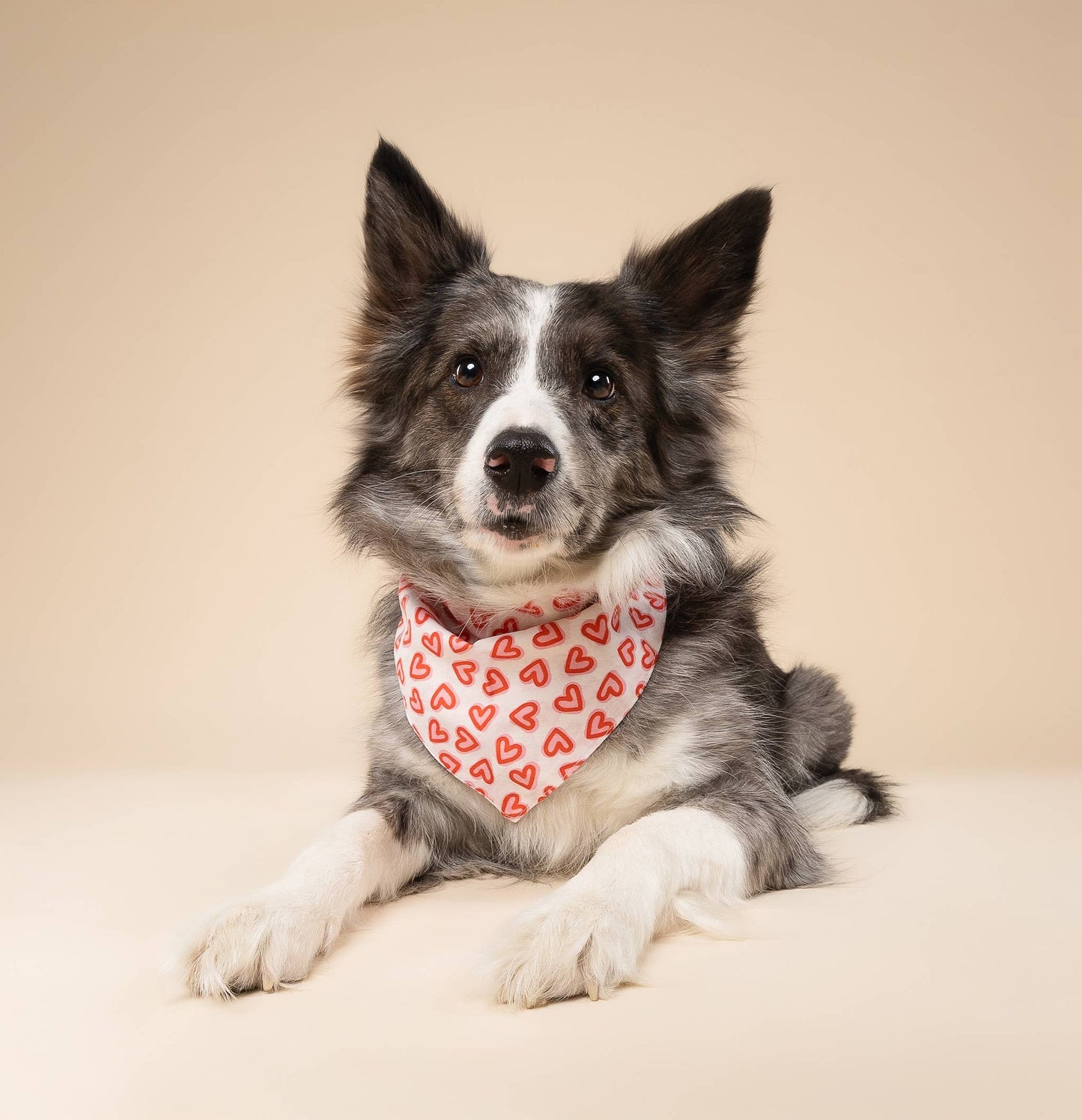 Lover Dog Bandana