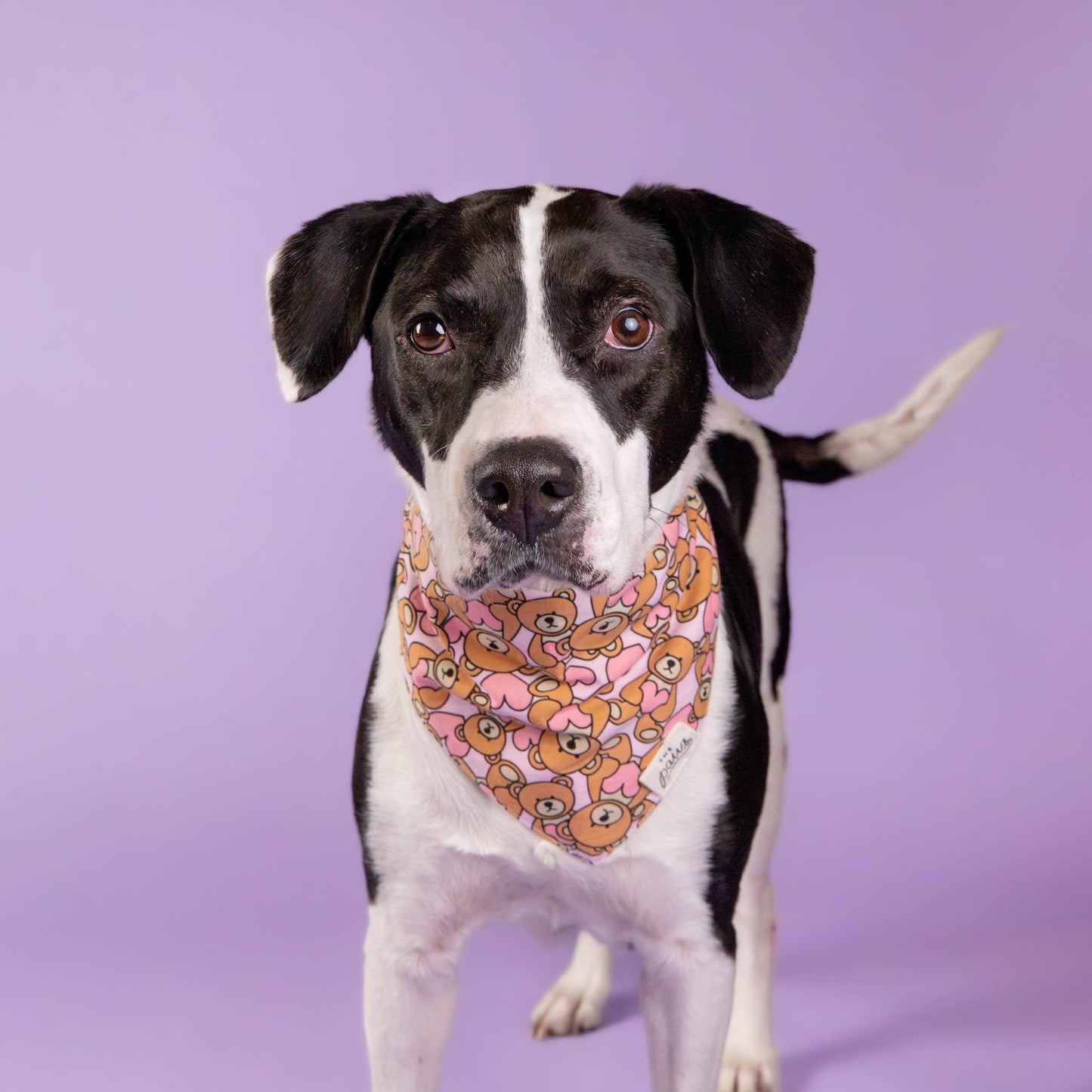 Fluff Dog Bandana