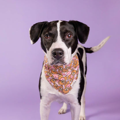 Fluff Dog Bandana