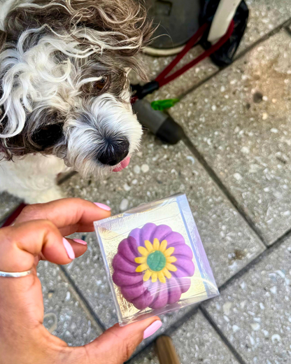 Gourmet Dog Treats/Truffles (Counter-Friendly, Shelf-Stable)