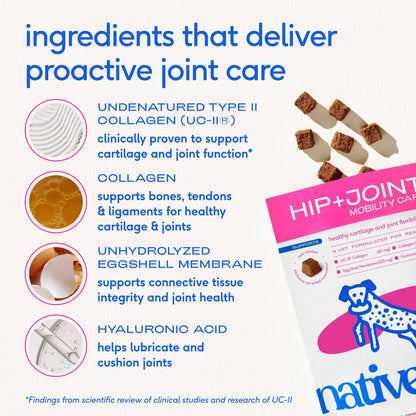 Hip+Joint Mobility Care Chews, Hip & Joint Supplement