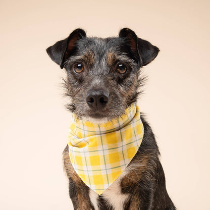 Birdie Dog Bandana