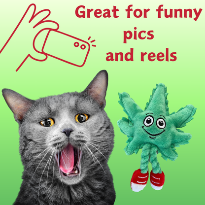 Paw:20 - Lil' MJ the Weed Leaf, Cat Toy