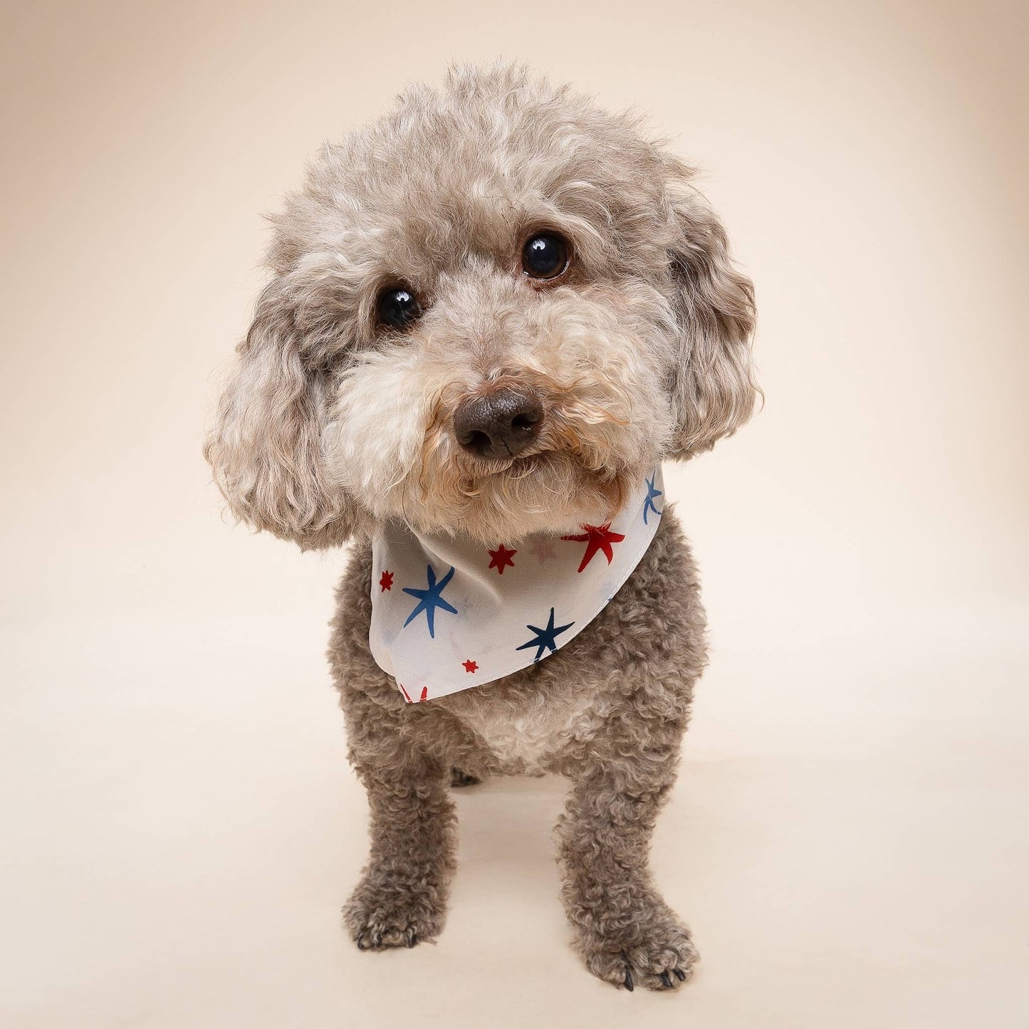 Liberty Dog Bandana