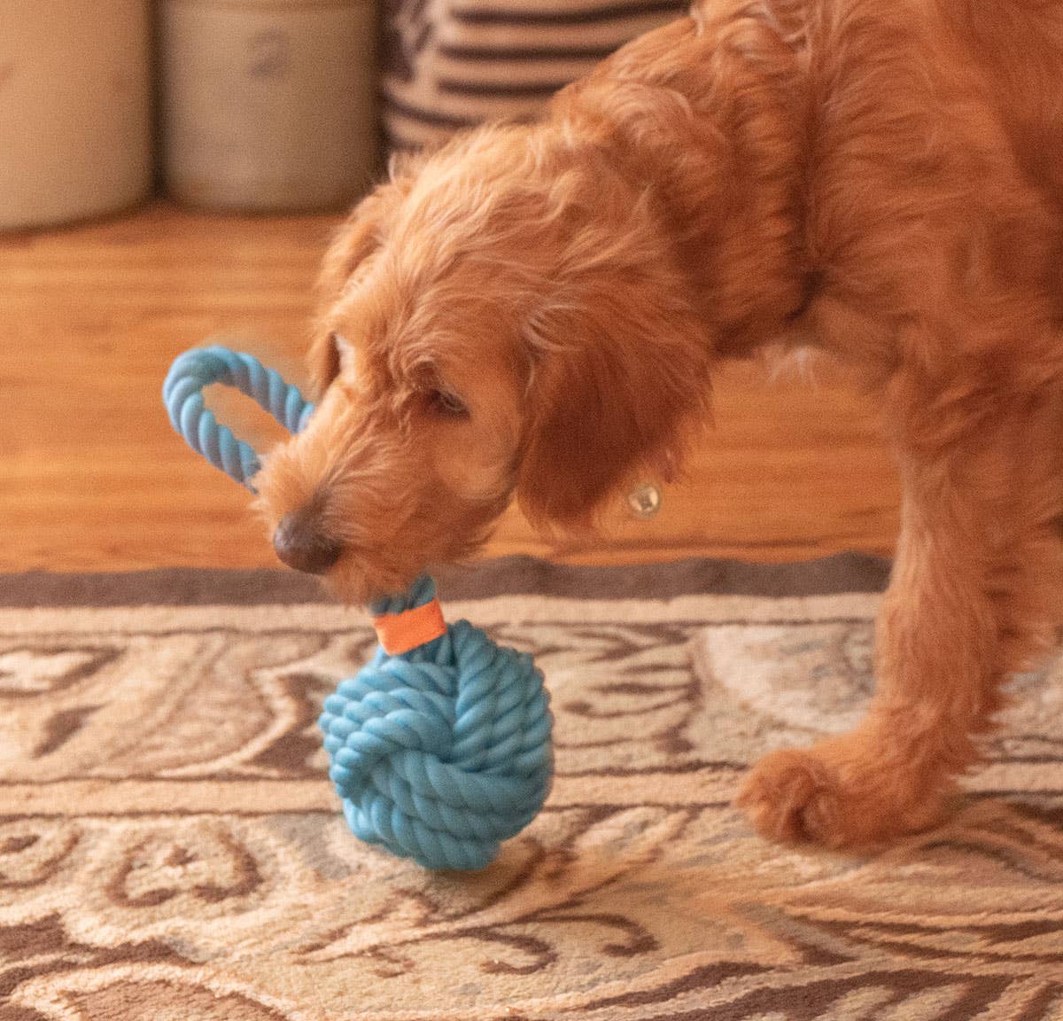 ThoozyPet Ball Tug Rope Dog Toy with Handle Blue 5"