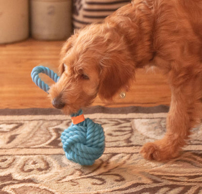 ThoozyPet Ball Tug Rope Dog Toy with Handle Blue 5"