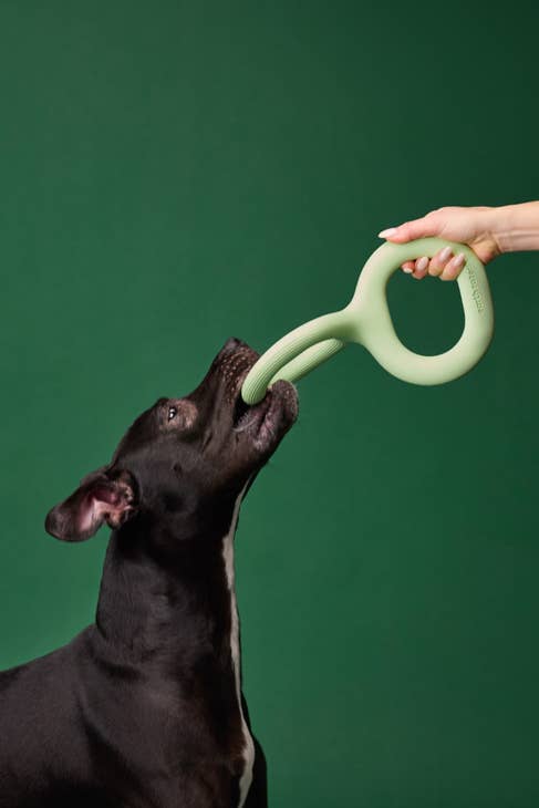 earth rated rubber tug toy