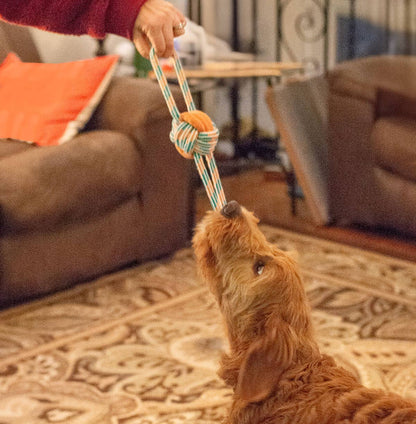 ThoozyPet Figure 8 Knot Ball Rope Dog Toy Blue / Red 11.5"